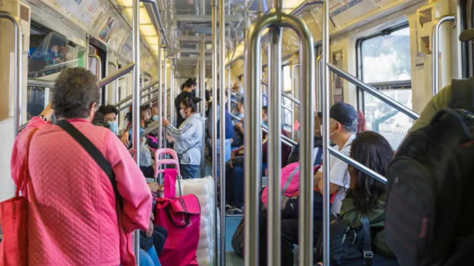 La temporada de calor puede favorecer la aparición de alacranes en espacios oscuros y húmedos, como algunas zonas del Metro. / iStock