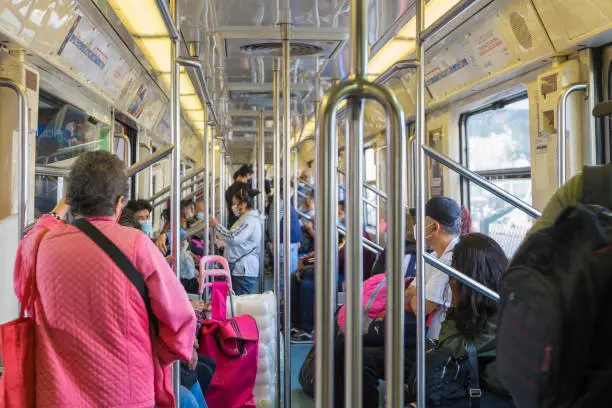 La temporada de calor puede favorecer la aparición de alacranes en espacios oscuros y húmedos, como algunas zonas del Metro. / iStock