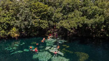 Cenote Azul, Gran Cenote y Dos Ojos: las maravillas subterráneas que hacen única a la Riviera Maya