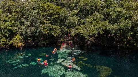 Cenote Azul, Gran Cenote y Dos Ojos: las maravillas subterráneas que hacen única a la Riviera Maya