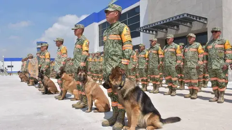 Elementos del Ejército Mexicano, acompañados de los caninos / @SEDENA