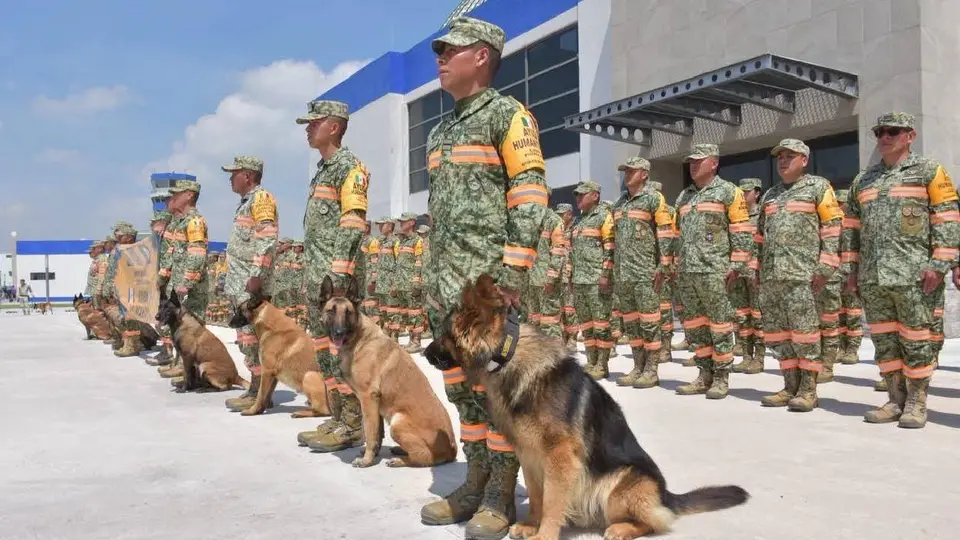 Elementos del Ejército Mexicano, acompañados de los caninos / @SEDENA