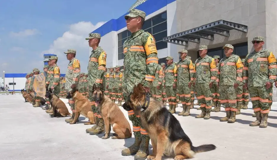Elementos del Ejército Mexicano, acompañados de los caninos / @SEDENA