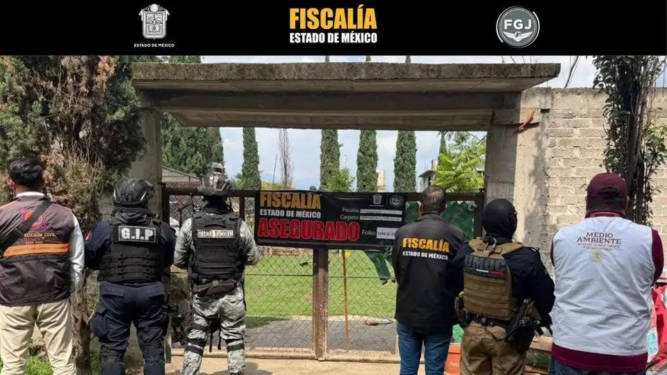Brandon "N" fue detenido durante el cateo; presuntamente se dedicaba a la compra y venta de especies exóticas sin autorización./ Fiscalía Edomex