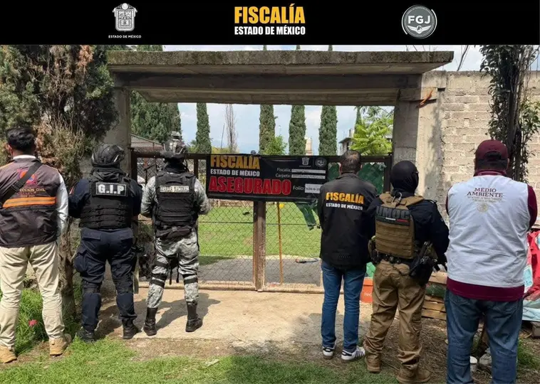Brandon "N" fue detenido durante el cateo; presuntamente se dedicaba a la compra y venta de especies exóticas sin autorización./ Fiscalía Edomex