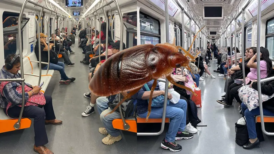 ¿Viajas en Metro o Metrobús? Así puedes detectar posibles chinches antes de sentarte