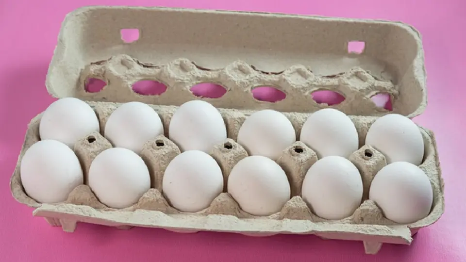 Se ordenó el retiro del mercado de más de 19 millones de huevos por Salmonella Enteritidis / Magnific