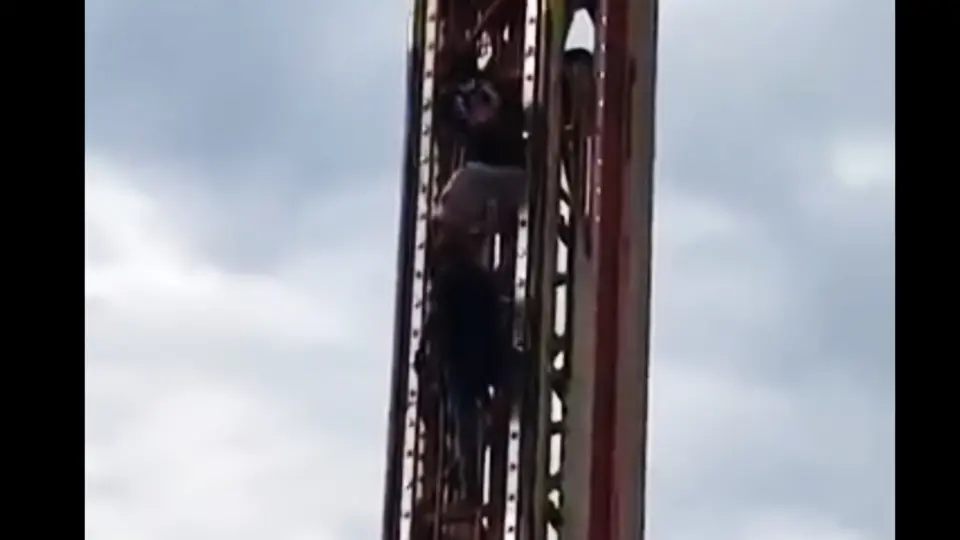 Bomberos acudieron al recinto ferial y comenzaron las labores para descender a las personas / Especial