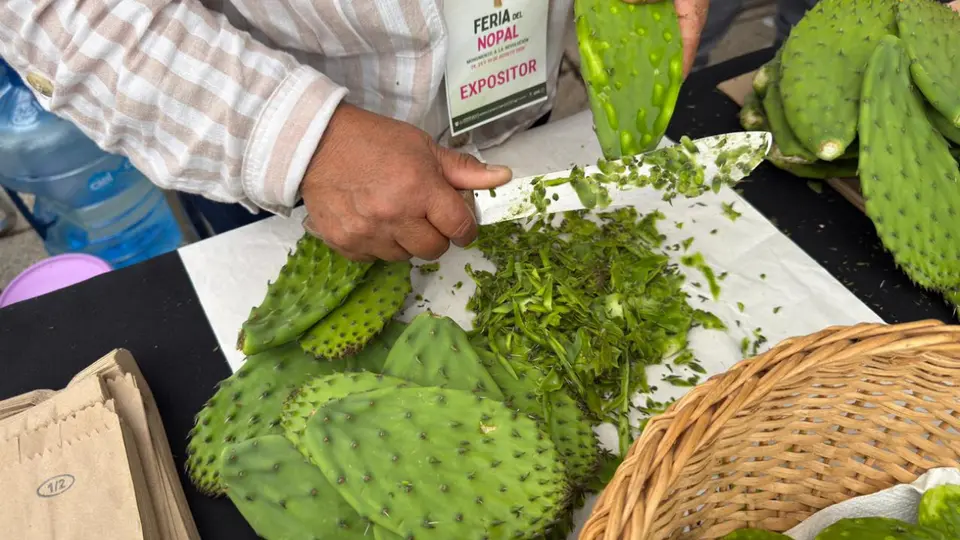 El nopal es el protagonista de esta celebración que reúne gastronomía, artesanías, cultura y tradiciones de la CDMX. / Georgina Sánchez