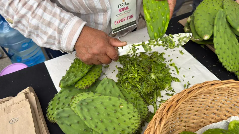 El nopal es el protagonista de esta celebración que reúne gastronomía, artesanías, cultura y tradiciones de la CDMX. / Georgina Sánchez