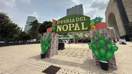 Así se vive la Feria del Nopal 2026 en CDMX: comida, artesanías y un enorme Laberinto Verde