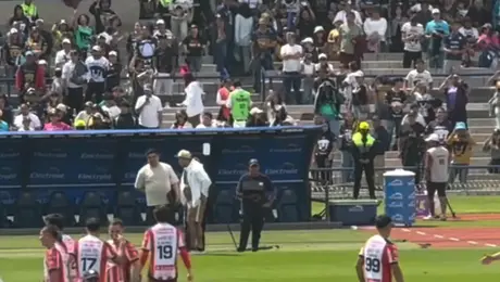 ¡EL GOYA MÁS FRÍO DE PUMAS!