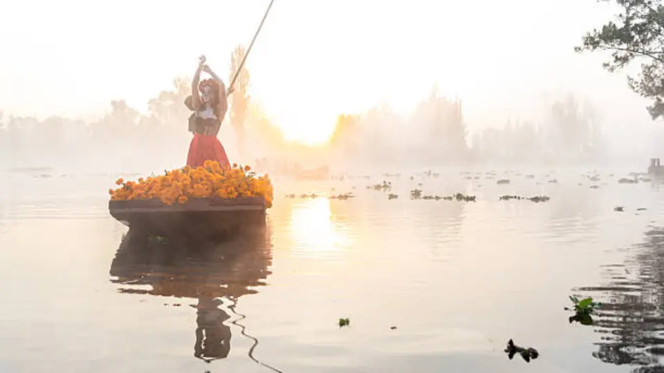 La Ruta del Cempasúchil 2026 llegará a Xochimilco durante octubre y noviembre. / iStock