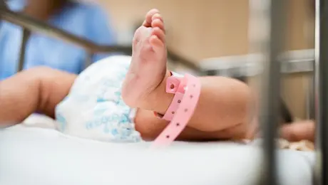 ¿Qué pasó con los cinco bebés muertos en IMSS Durango? Esto adelantó la autoridad