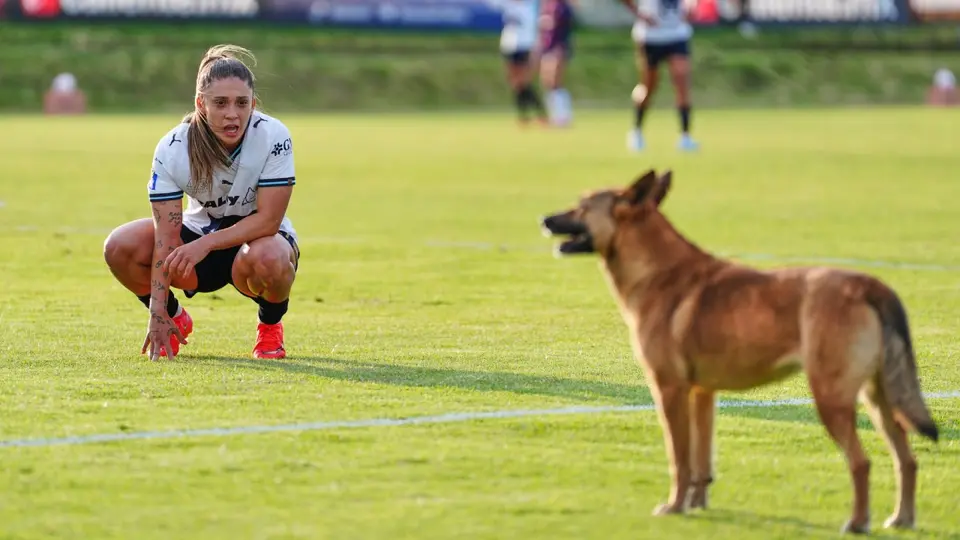 Un perro en el partido de Atlante contra Pumas en la Liga Femenil | IMAGO 7