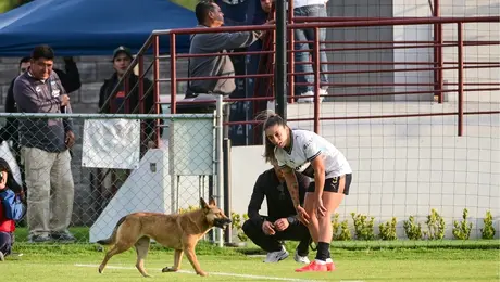 ¿Nueva mascota? Perrito se robó reflectores en el empate sin goles entre Atlante y Pumas