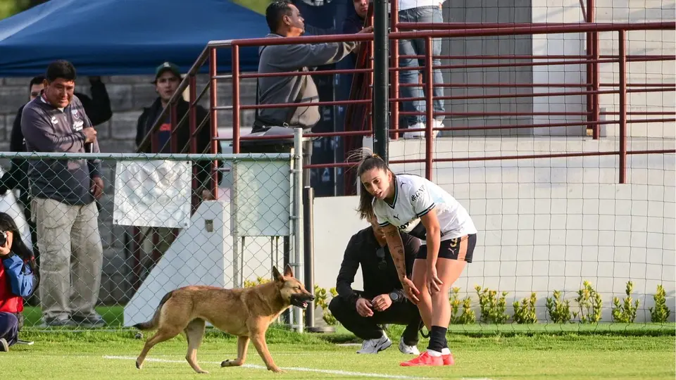 ¿Nueva mascota? Perrito se robó reflectores en el empate sin goles entre Atlante y Pumas