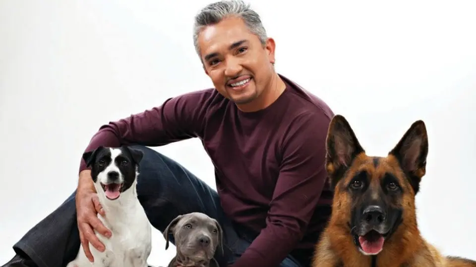 'Encantador de Perros' envía condolencias a The Rock