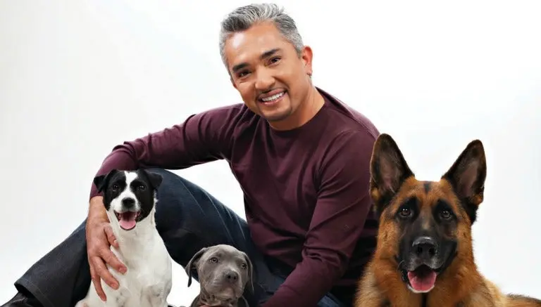'Encantador de Perros' envía condolencias a The Rock