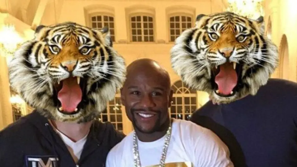 Floyd Mayweather recibe un tigre de la India como regalo