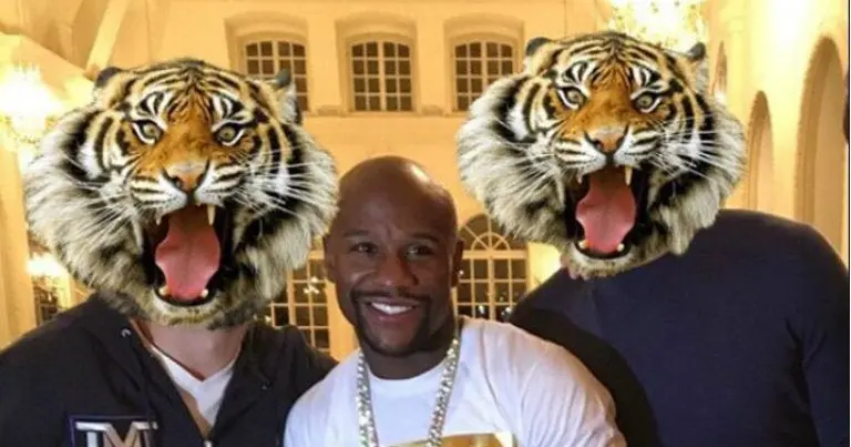 Floyd Mayweather recibe un tigre de la India como regalo