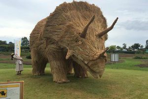 Artista asiática crea animales con paja