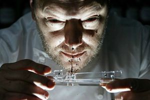 Inhalar cacao, tendencia en clubes nocturnos de Europa