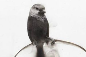 Pintor francés crea obras de arte con fuego