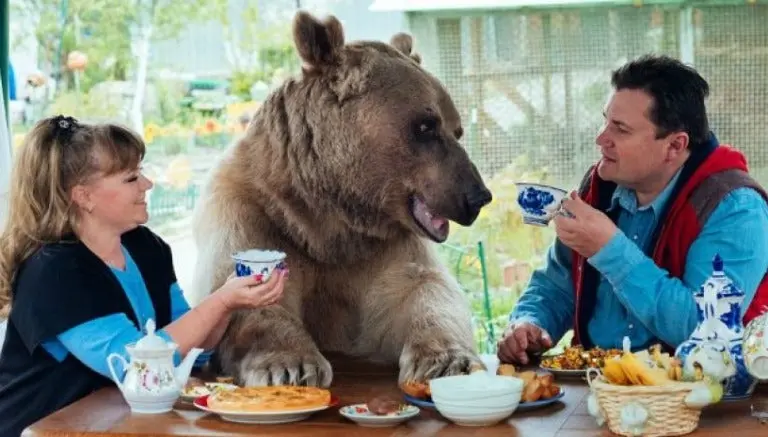 Matrimonio ruso adopta un oso y lo trata como a un hijo