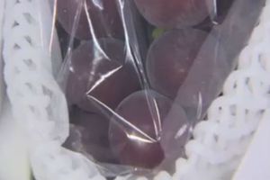 Venden racimo de uvas por 37 mil dólares