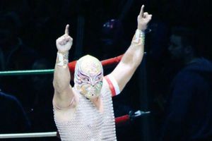 'Luchadores mexicanos me pusieron el pie en WWE': Carístico