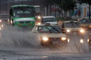 Lluvia en CDMX inunda centro comercial y tira árboles