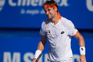 David Ferrer, eliminado del Abierto Mexicano