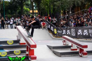 Skaters enloquecerán a la CDMX