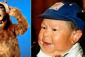 Fallece Mihaly Meszaros, actor que dio vida a Alf
