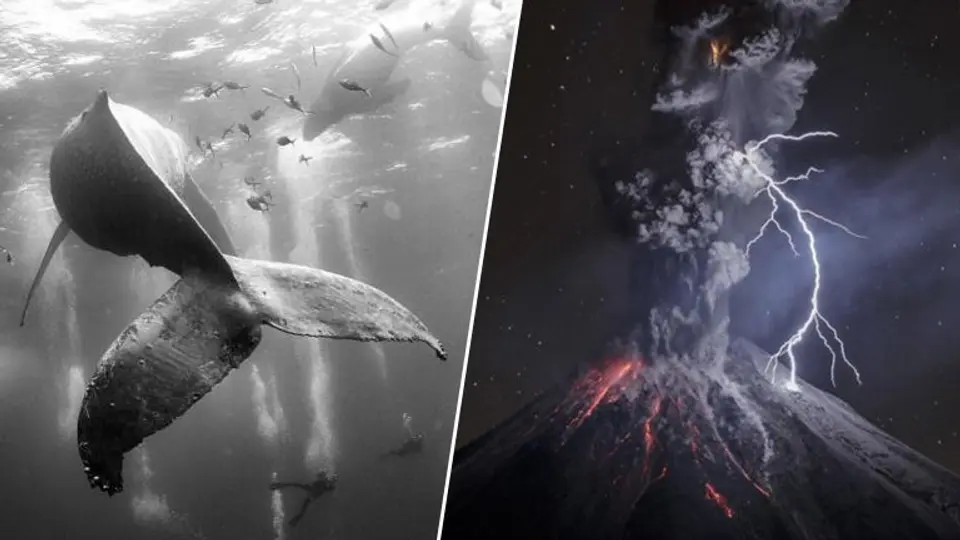 Mexicanos brillan en premios World Press Photo