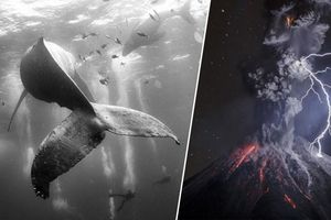 Mexicanos brillan en premios World Press Photo