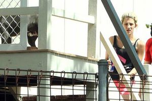 Joven australiana, detenida por tener sexo con su pitbull