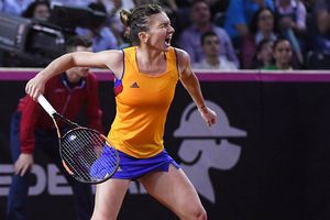 Halep se repone e iguala serie contra Alemania en Fed Cup