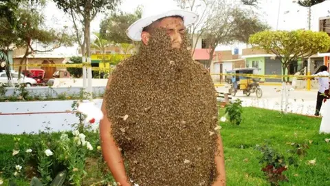 Peruano se cubre con 15 mil abejas y gana concurso