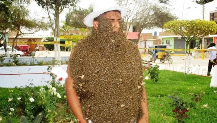 Peruano se cubre con 15 mil abejas y gana concurso