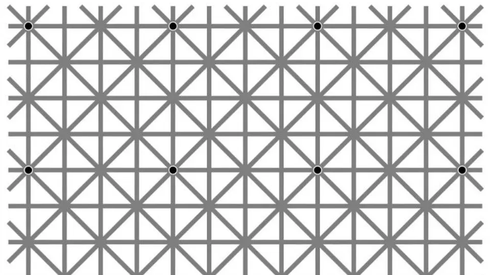 Ilusión óptica vuelve loco al internet