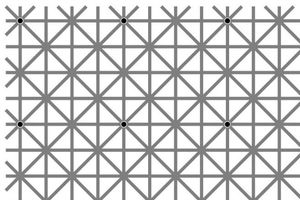Ilusión óptica vuelve loco al internet