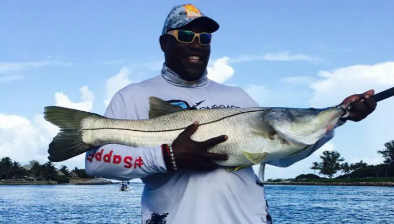 Exjugador de la NFL es atacado por tiburón