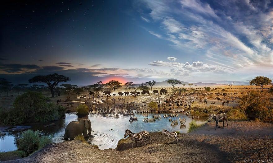 STEPHEN WILKES
