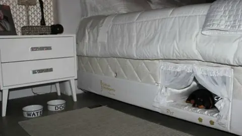 Crean cama con lugar especial para mascotas