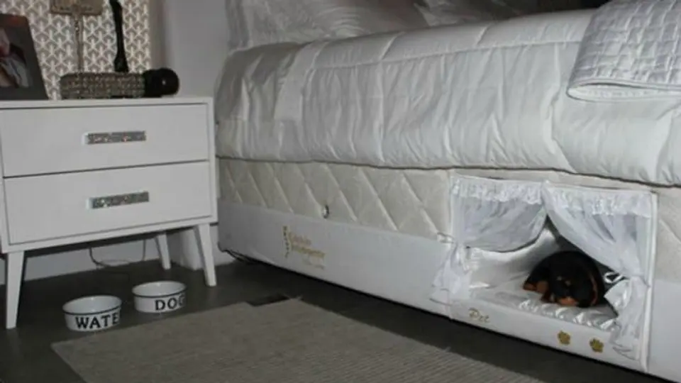 Crean cama con lugar especial para mascotas
