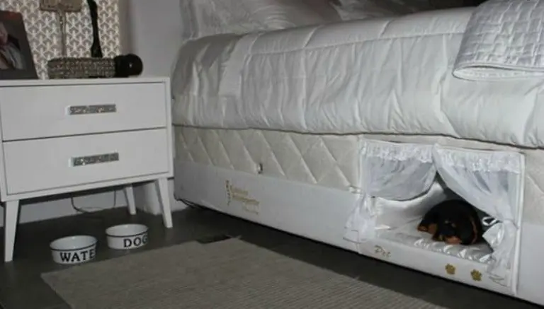 Crean cama con lugar especial para mascotas
