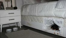 Crean cama con lugar especial para mascotas