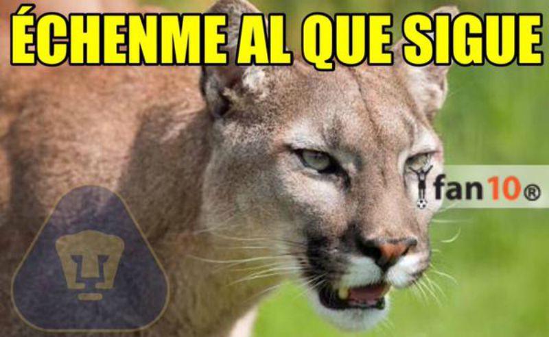 ESPECIAL